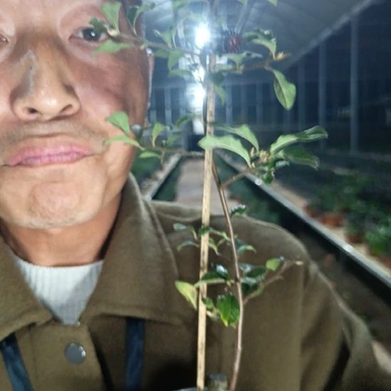 无花朵老鸦梦美月057