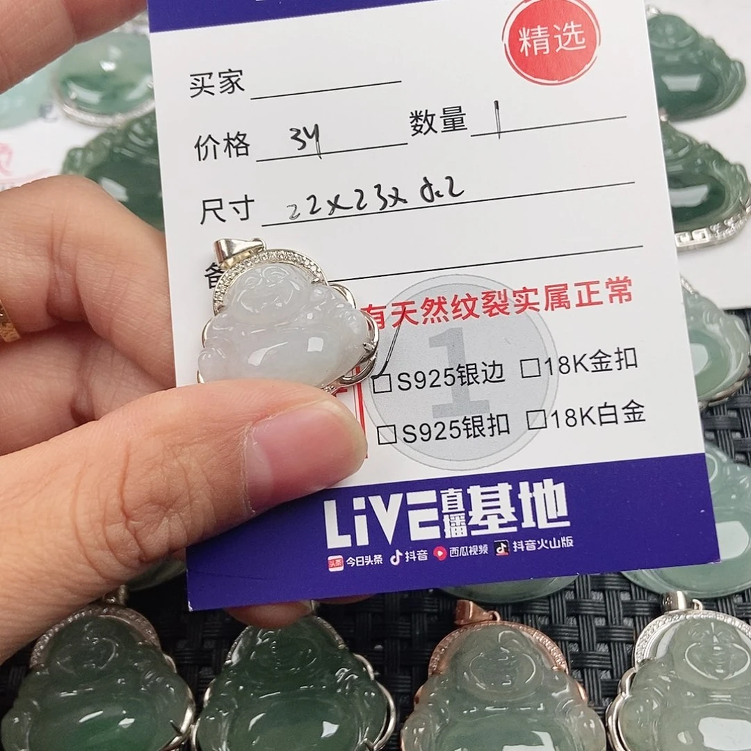 翡翠银S925镶嵌颈饰