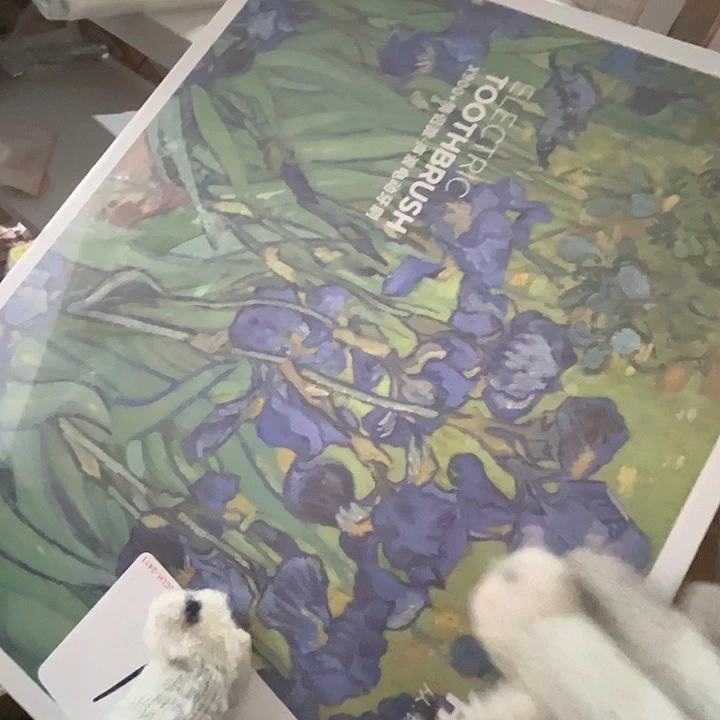 情侣电动牙刷套盒。