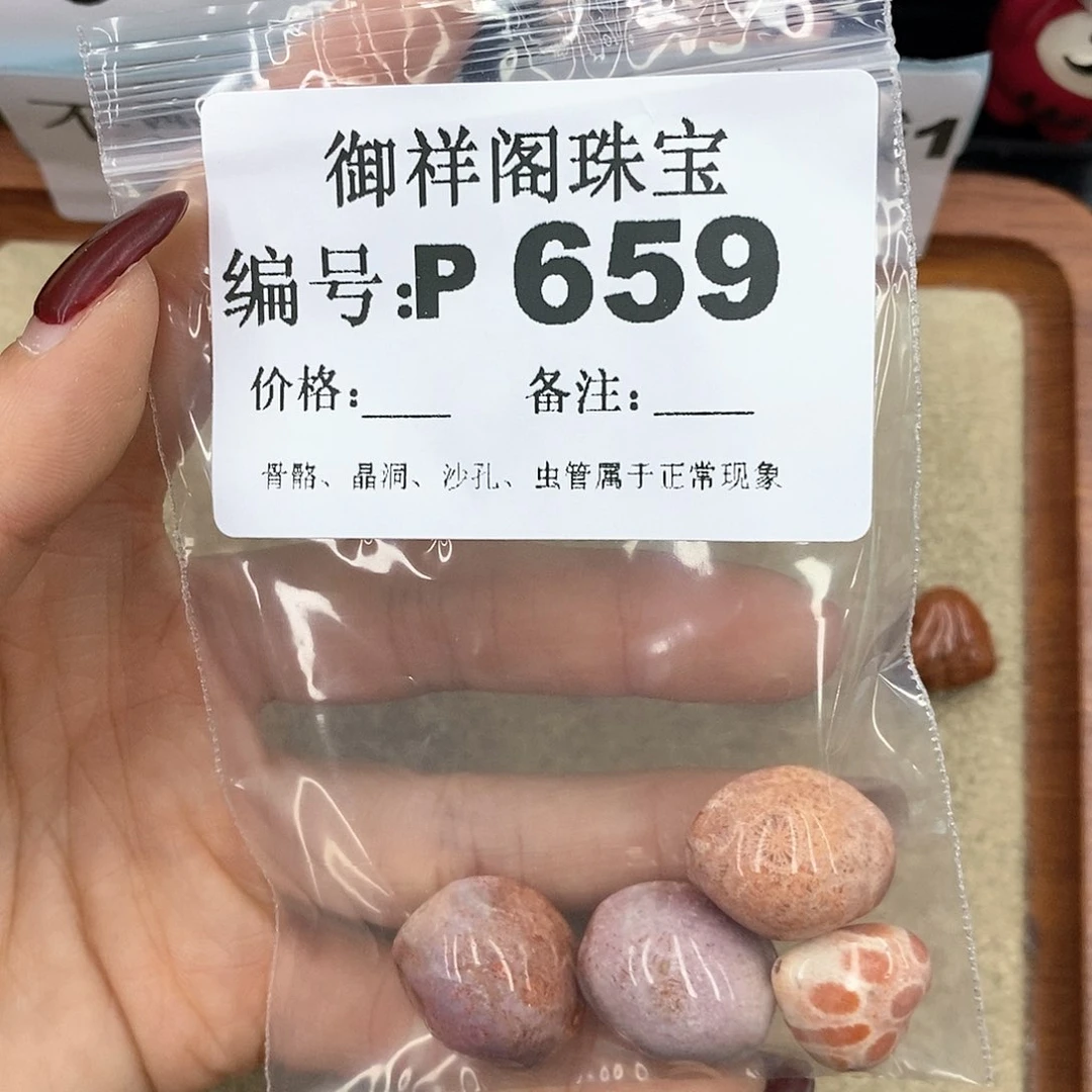 硅化珊瑚（珊瑚玉）P未镶嵌泡**