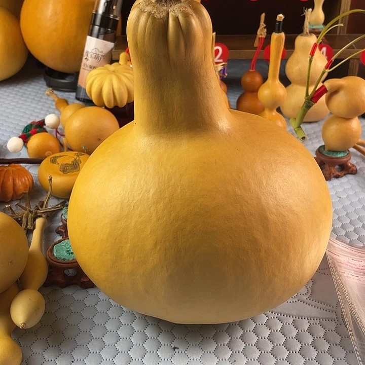 飝***襄在一起是不合适还是什么都不是吧