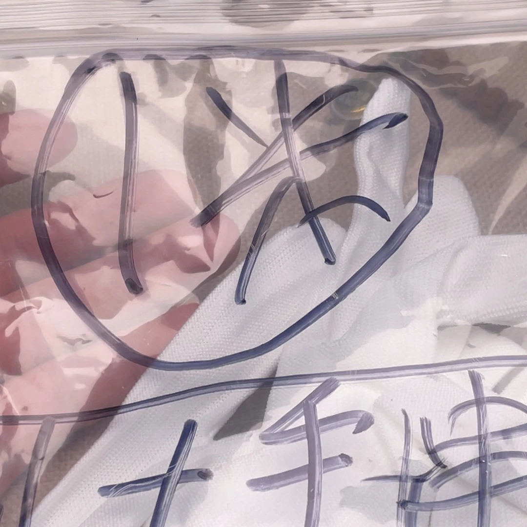 金刚菩提吊坠南****极老树王