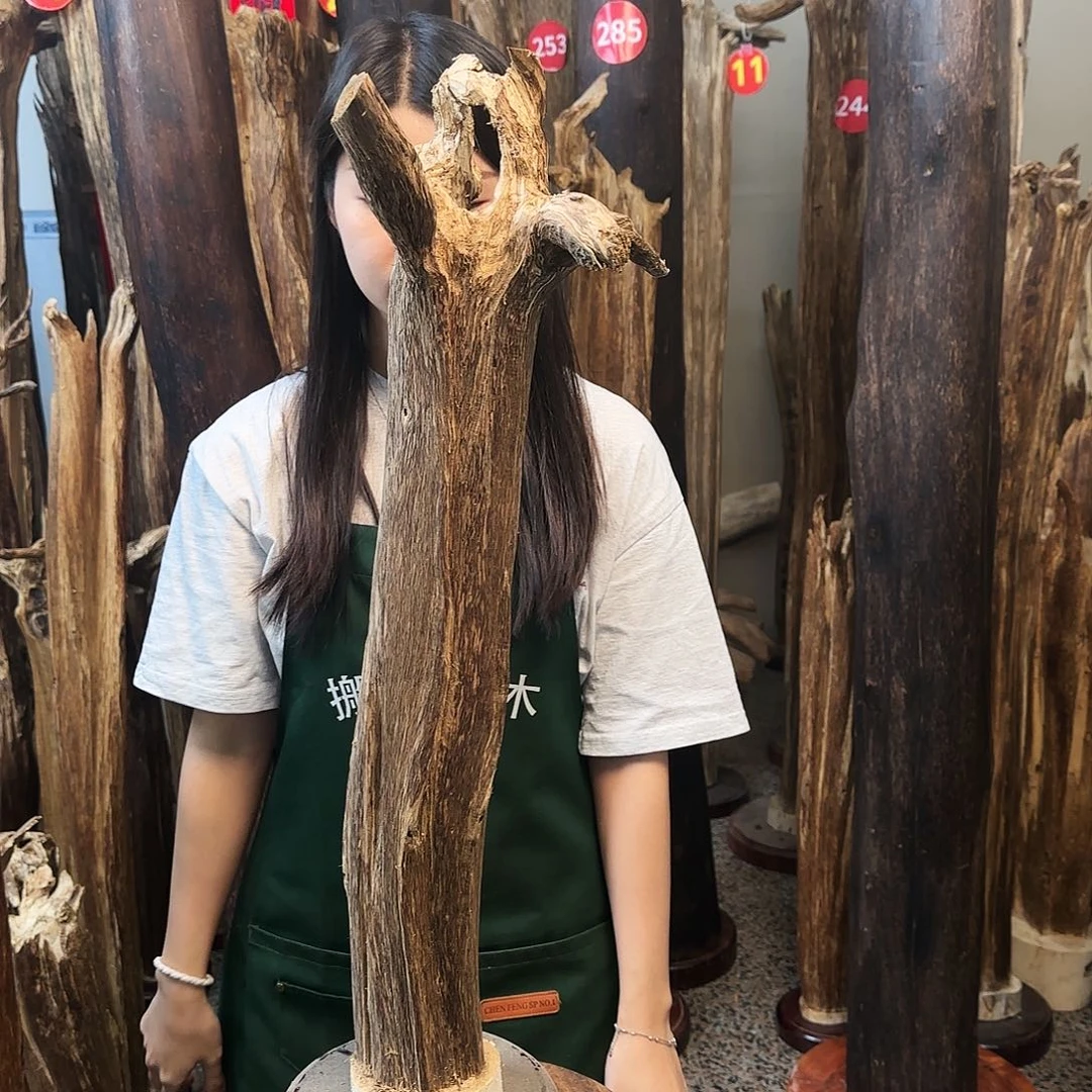 沉香摆件天然沉香原木摆件➕底座