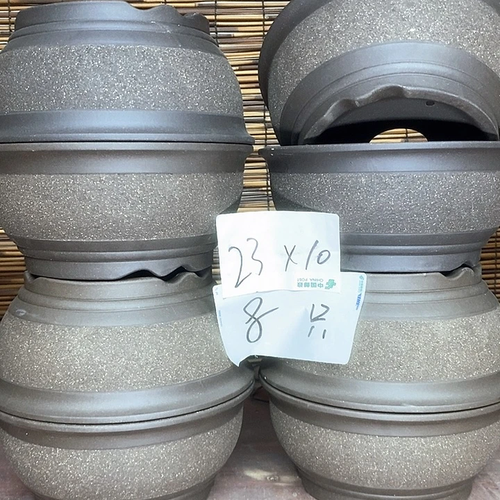 紫砂花盆我在外面