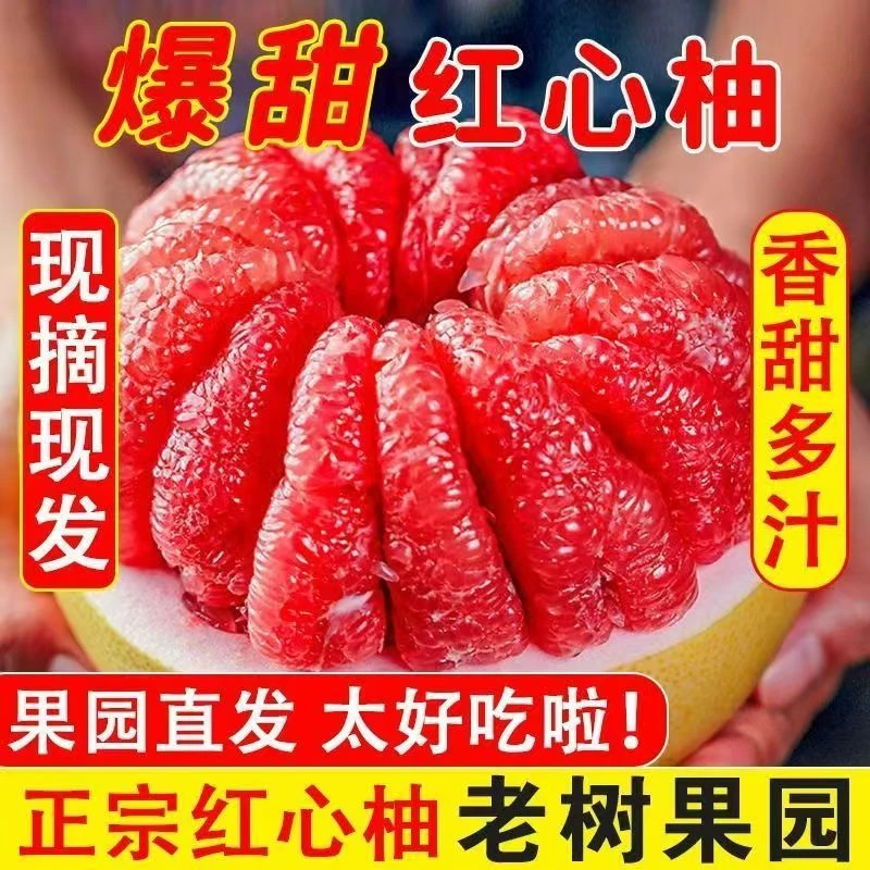 福建平和红心蜜柚老树果新鲜采摘皮薄肉厚多汁应季水果【只发新疆】