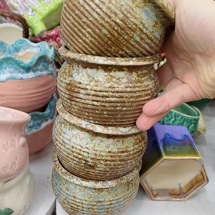 多肉植物陶瓷花盆