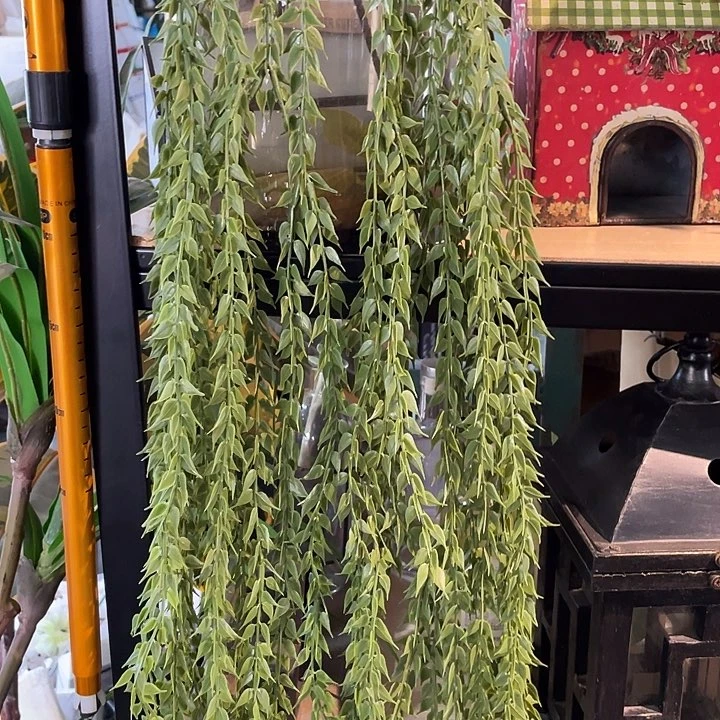 陶瓷花瓶部分（微瑕）