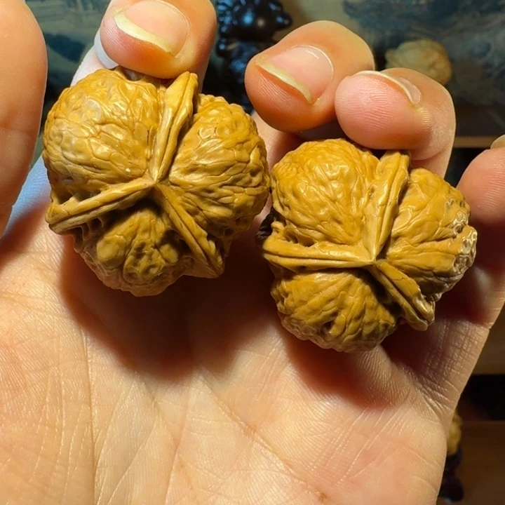 云南铁核桃手把件三棱2号