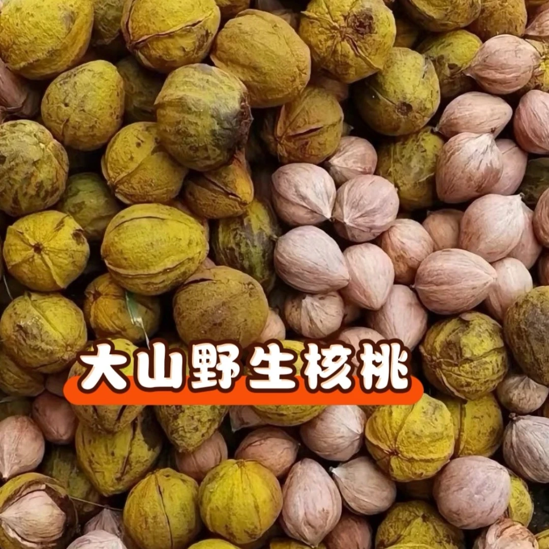 贵州黎平特产野生核桃新鲜山核桃侗乡美食炒核桃零食吃核桃