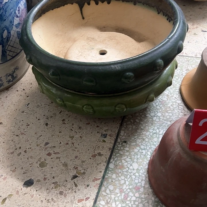 红陶天***S。。。。。。。。。。。。