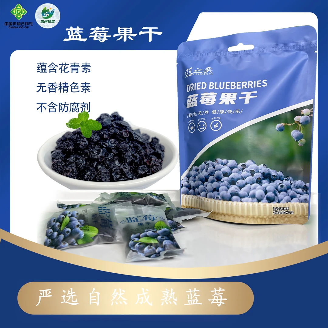 蓝莓果干保护视力蓝莓干休闲零食6克*10小袋独立包装酸甜可口