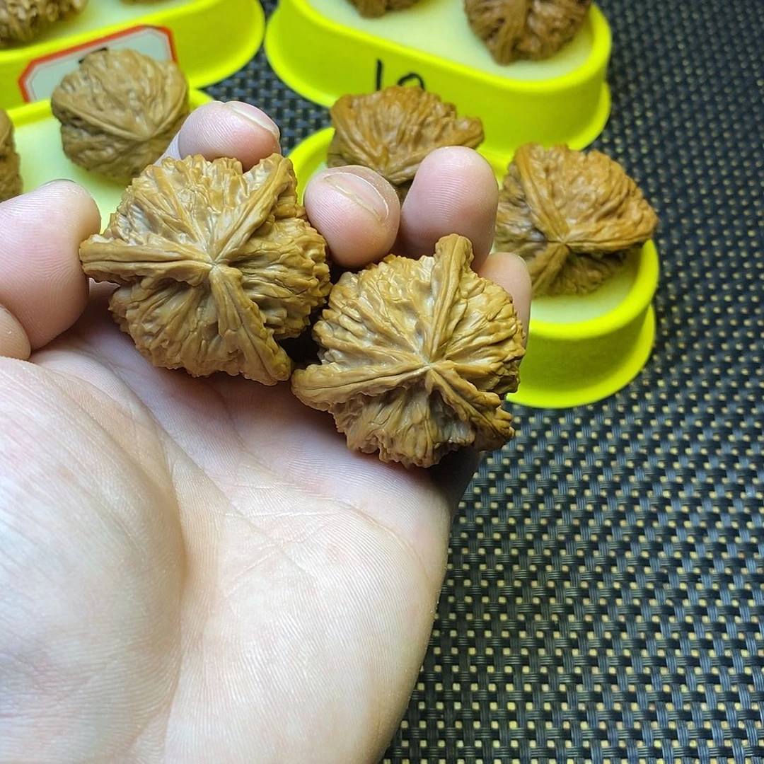 x***u文玩核桃盒三棱炸炸炸炸炸