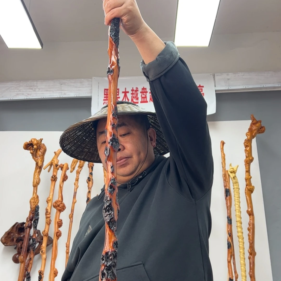 黑果木其他阶**衣黑果木681