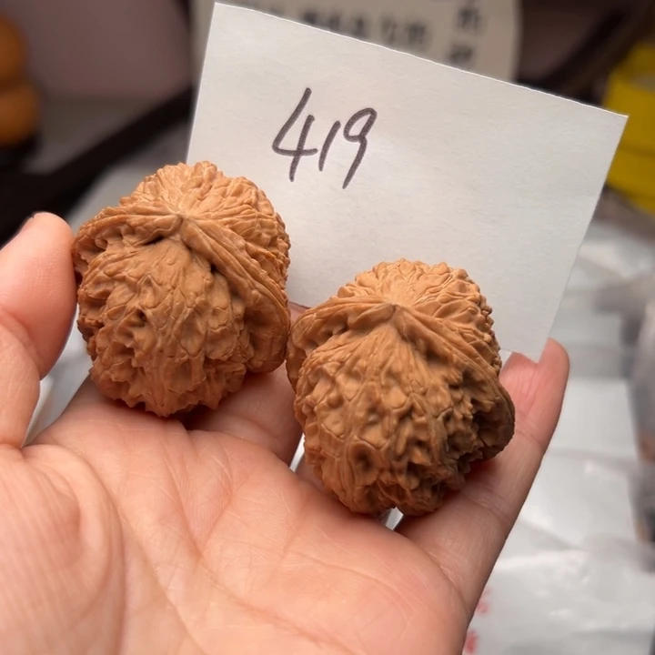 核桃405尺寸白狮子