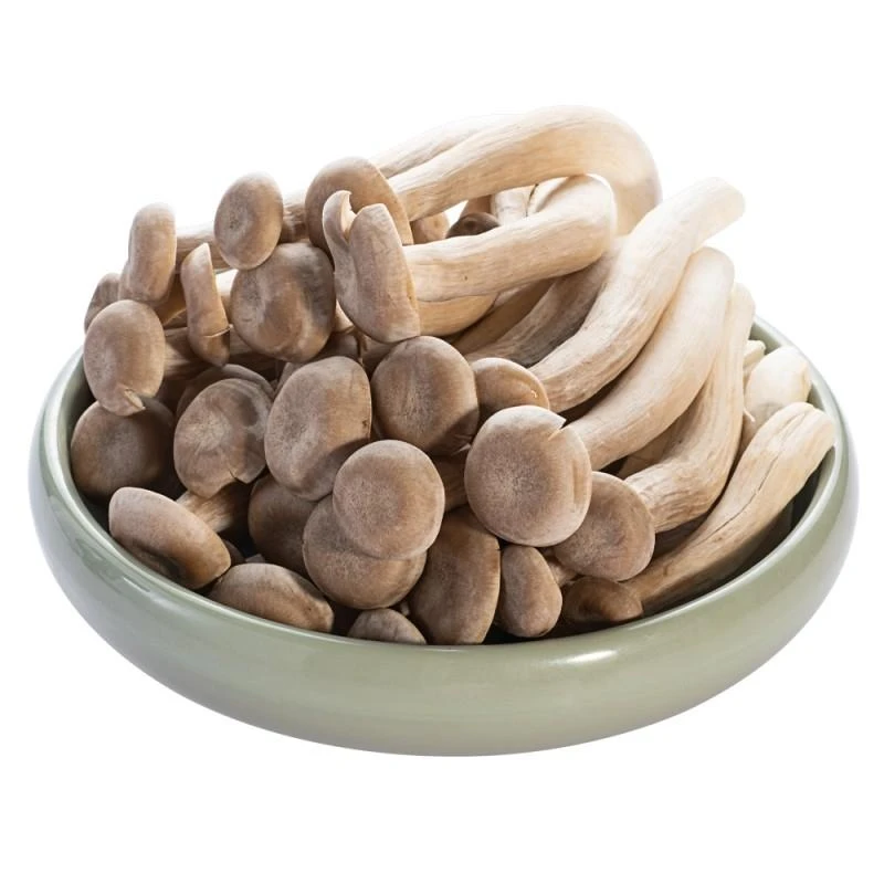 鹿茸菇180g鲜菇菌