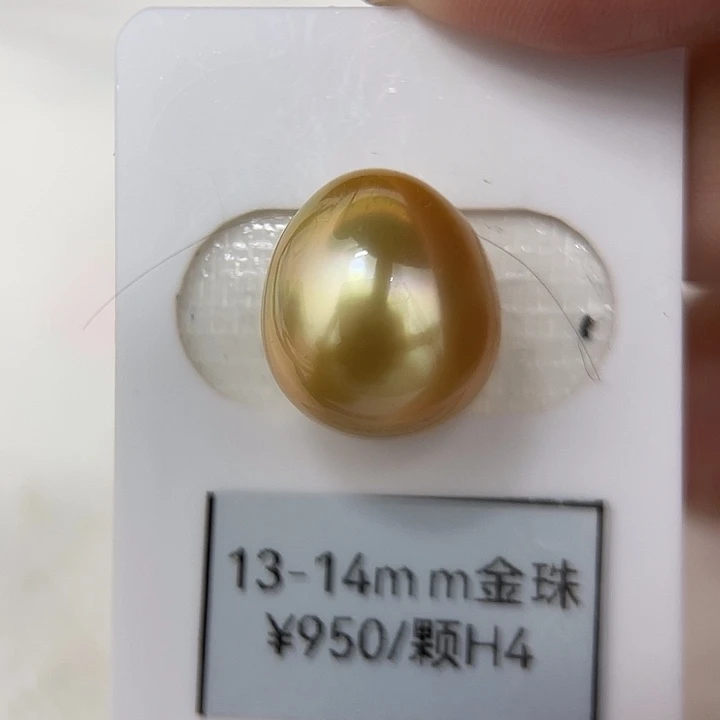 颈饰未镶嵌海水珍珠13.5mm 金珠H4