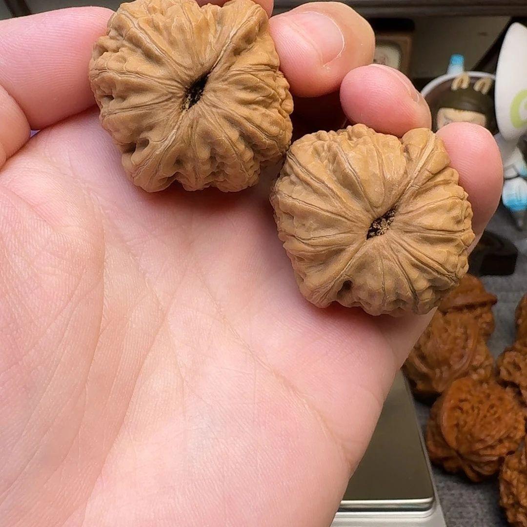 尖微修 37 尺元宝