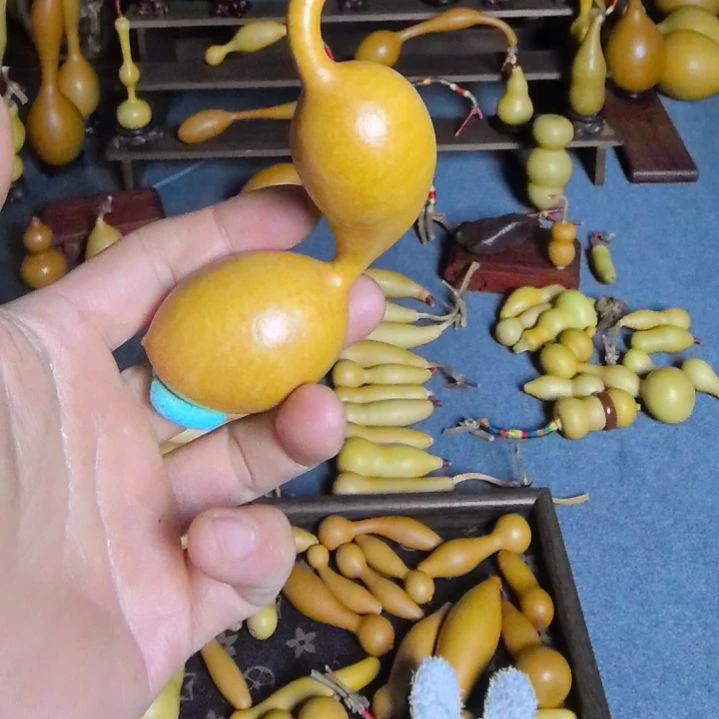清***ʊ葫芦一代蚂蚁，一物一拍