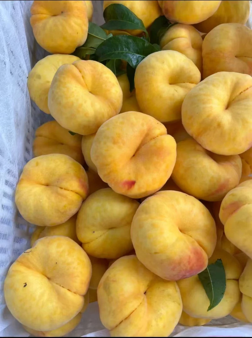 【小主播源头自采】山东蒙阴黄金毛蟠桃11香甜爆汁桃香十足