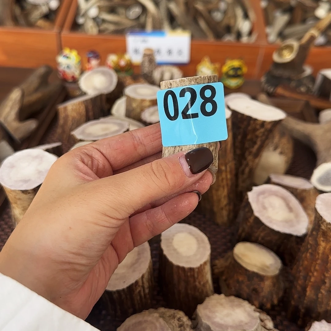 手串/手链鹿骨028段