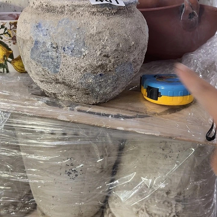 许纯的花房 孤品461