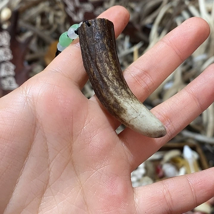 石英石非金属鹿角鹿角
