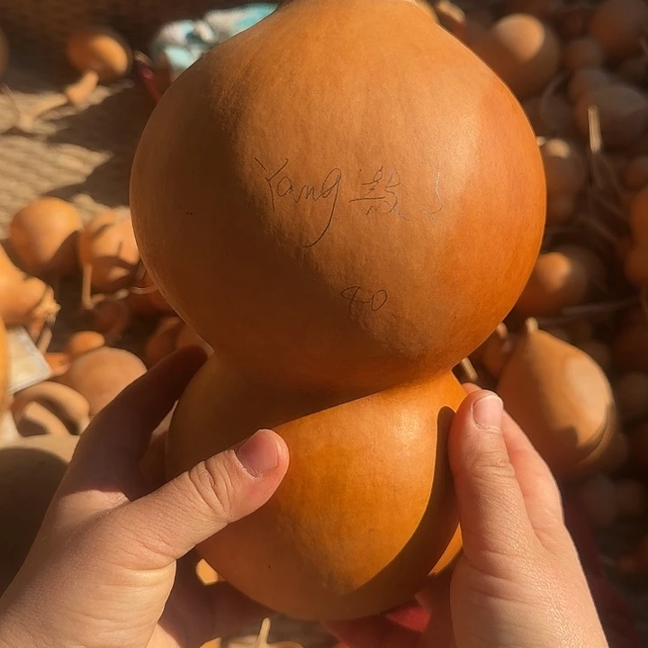 Y***鼓鼓鼓鼓鼓葫芦葫芦