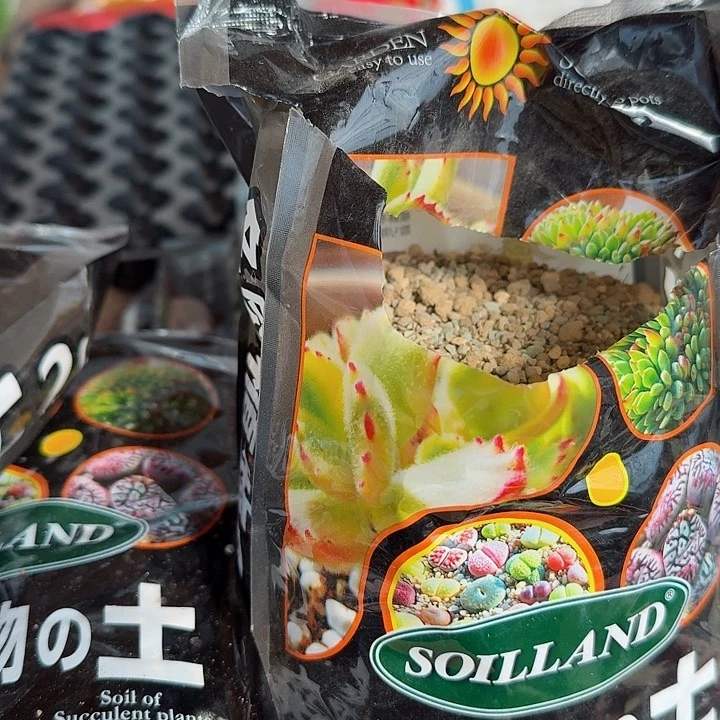 六包土多肉植物精品