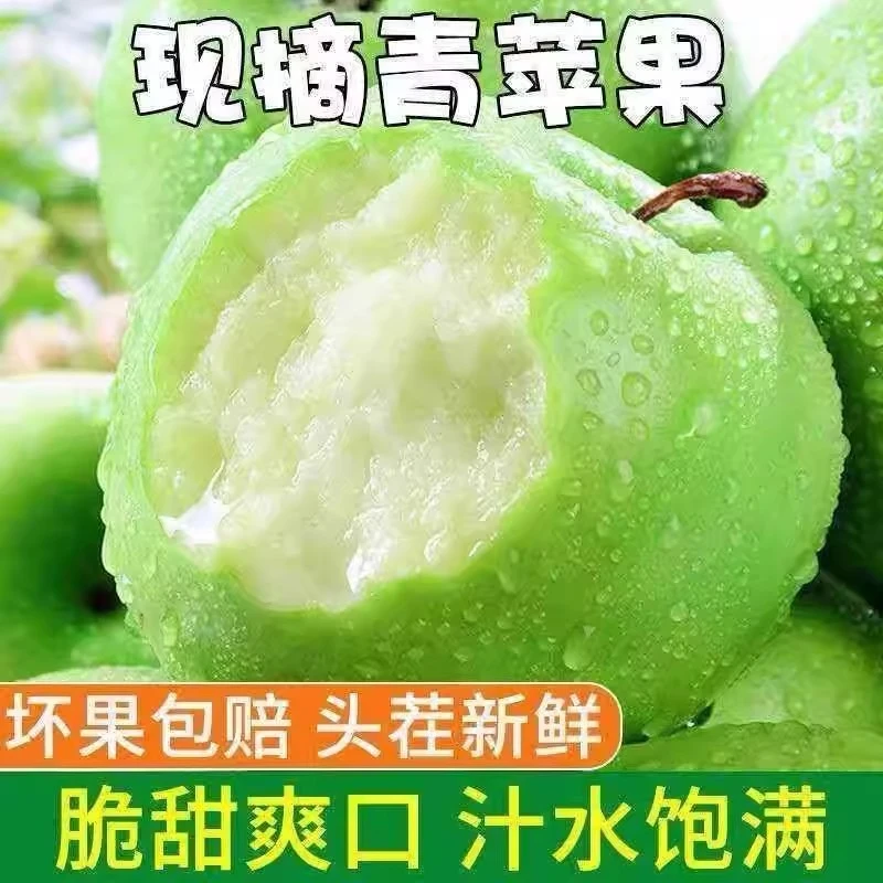 【冠军品质】新鲜青苹果小果酸脆多汁现摘现发含花青素孕妇专属水果