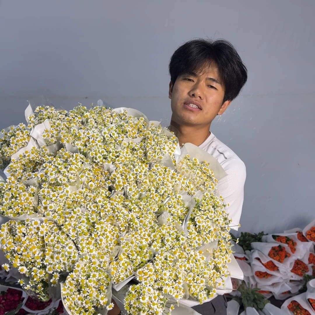 洋甘菊3扎包邮价秒杀