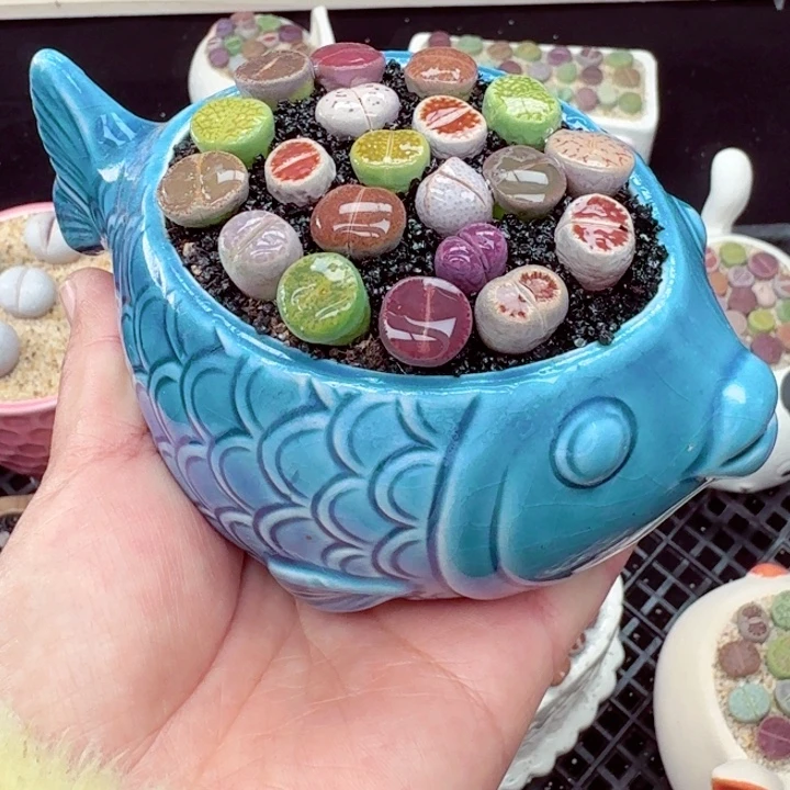 522零下地区记得拍保温箱