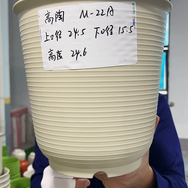 正品高陶口24高24米色5只带托