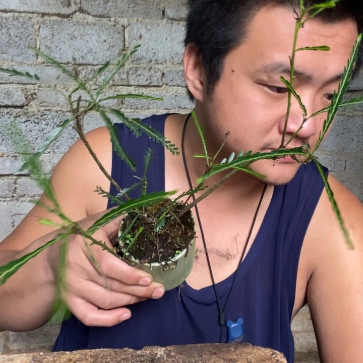 留****掌退款拉黑一物一拍183