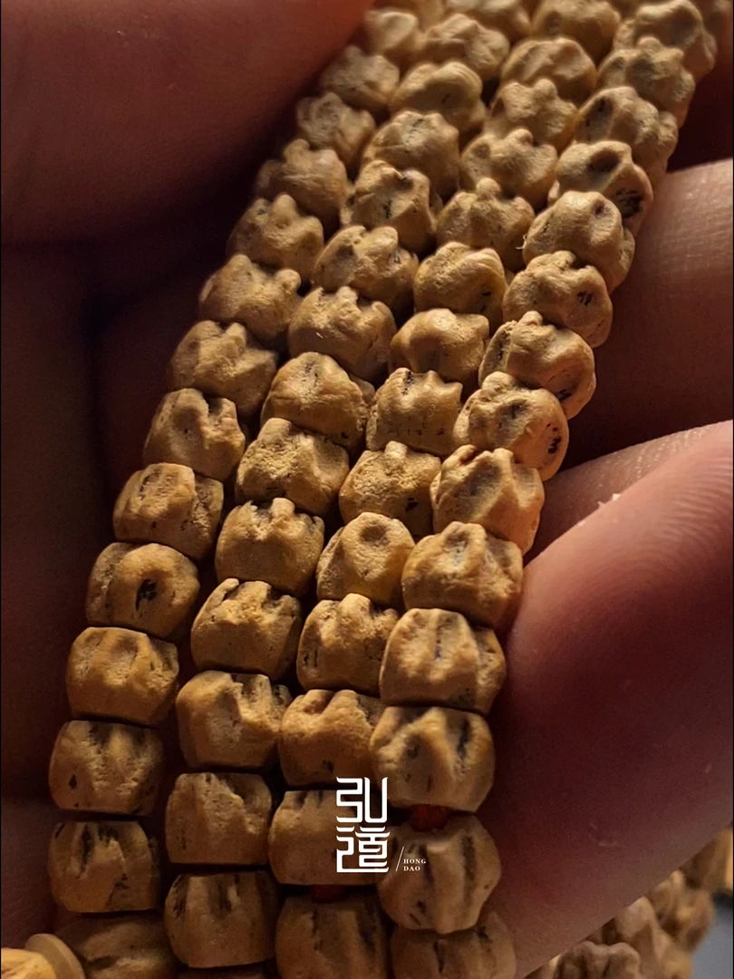 热振柏香籽/百香籽【刀锋龙脊鬼脸】手链