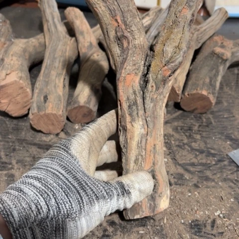 大果紫檀（缅甸花梨）用****7