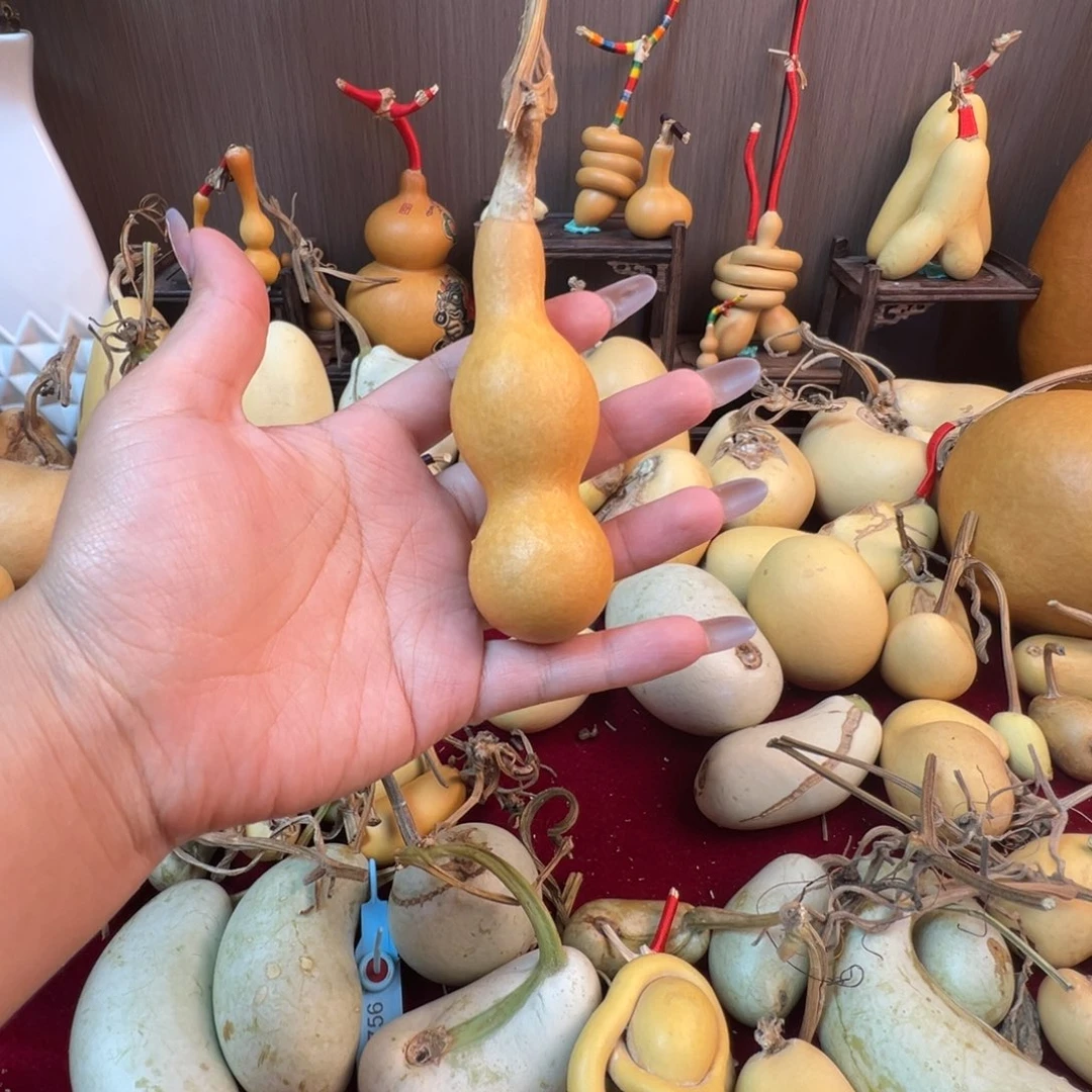 c***星懂了吗这就是我的快乐吗哈哈我的快乐源泉