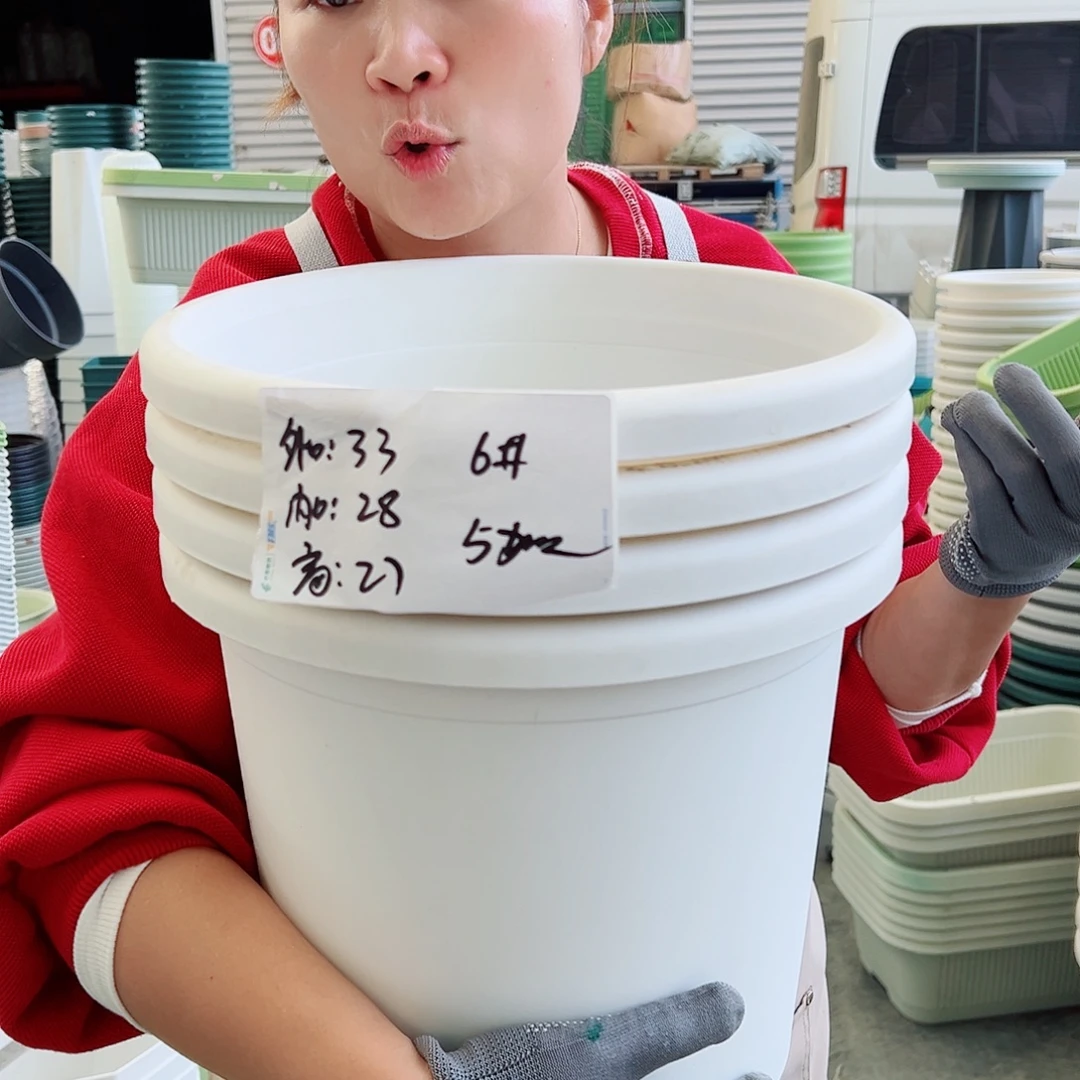 四季盆6#白色5个无托