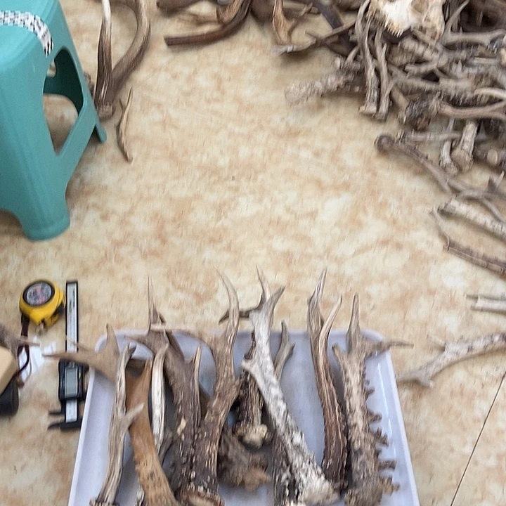 柏***店大叶紫檀（黑酸枝木类）