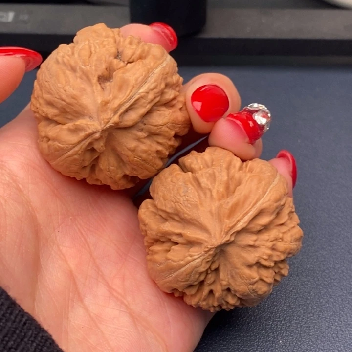 *****霸王龙全品无刀休