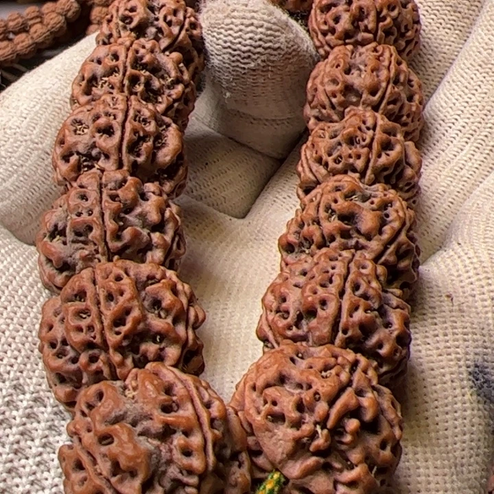 金刚菩提手串20➕安娜粗筋蜂窝双龙