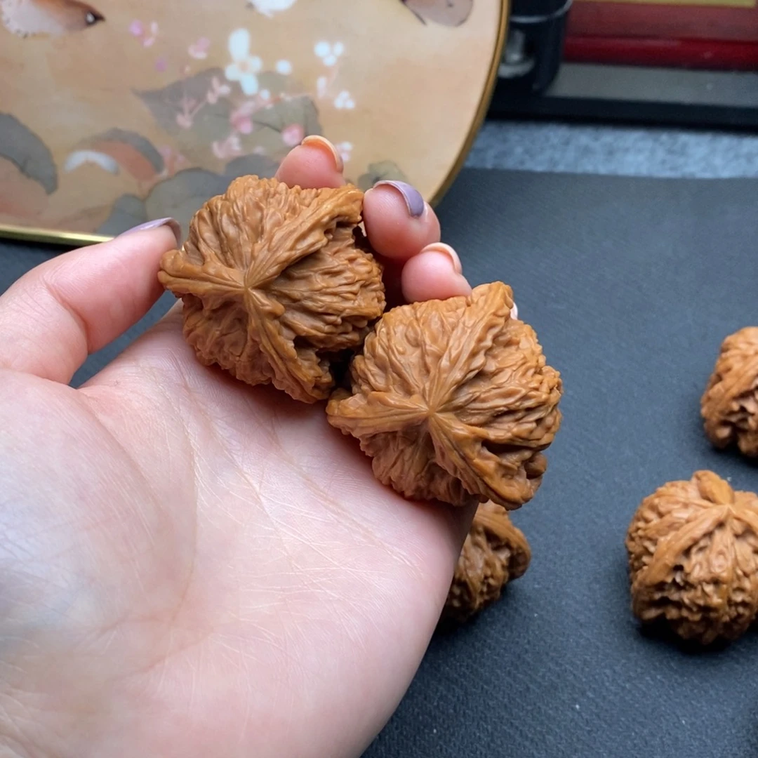 文*白狮子1111111111