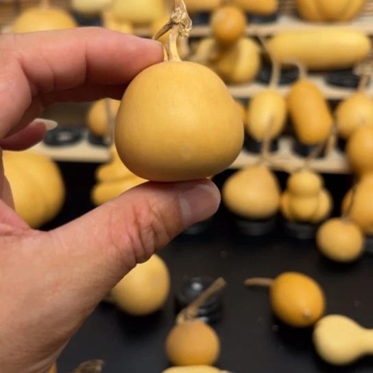 ?*北1266869989999999