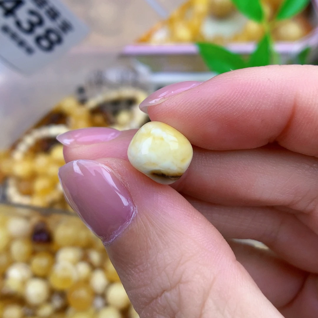 裸石琥珀未镶嵌9.8
