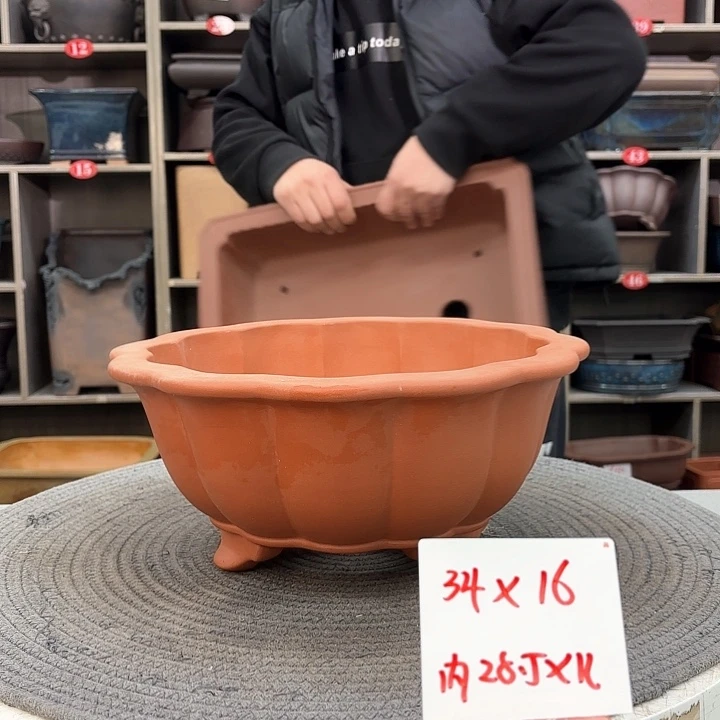 紫砂花盆养***荷紫砂的颜色很好看呀