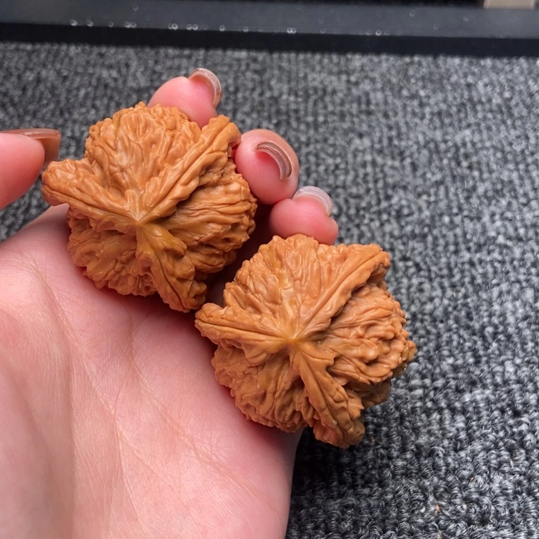 辞***。木质类白狮子正奔