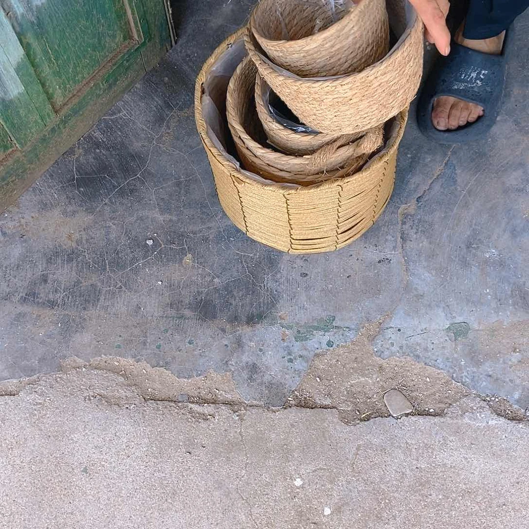 密码牛津纺极兔259