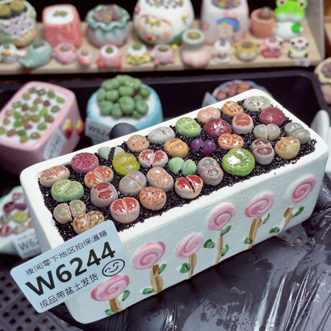 夜间零下地区拍保温箱w6244