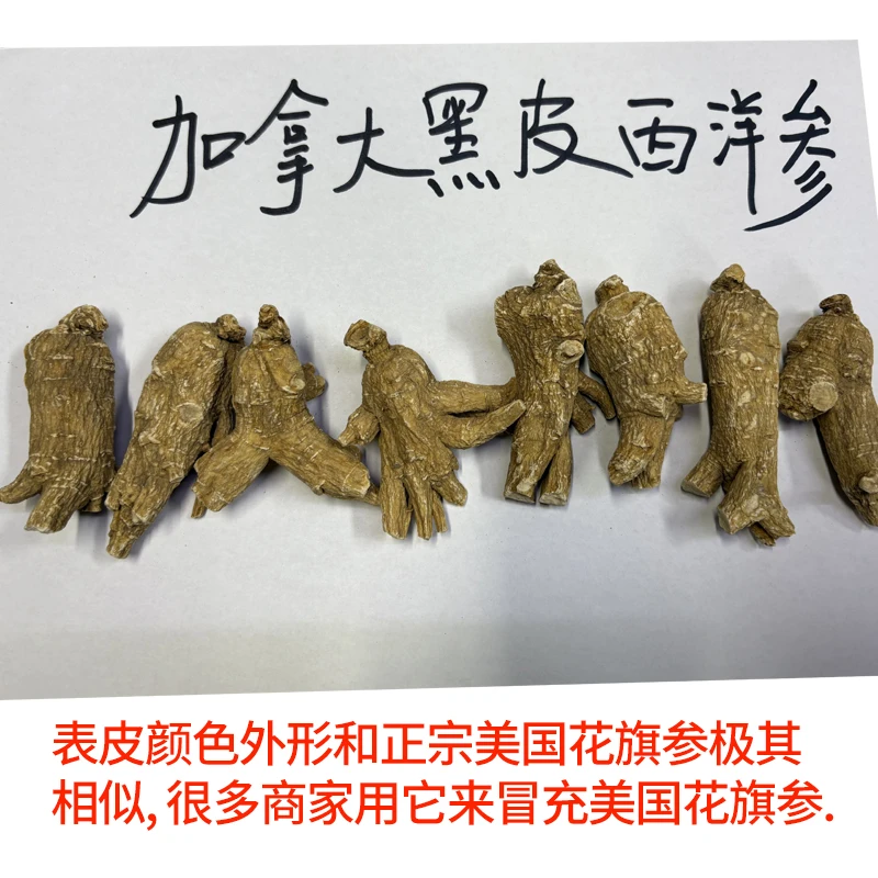 加拿大黑皮西洋参仿美国花旗参500克