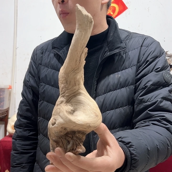 柏木木*我们的生活也是