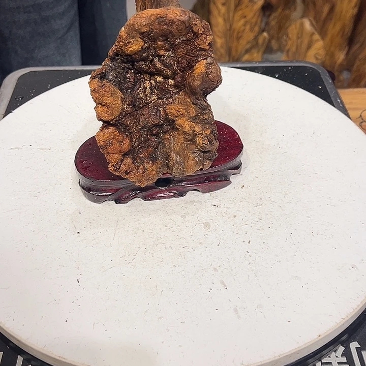 松木（琥珀木）清*琥珀